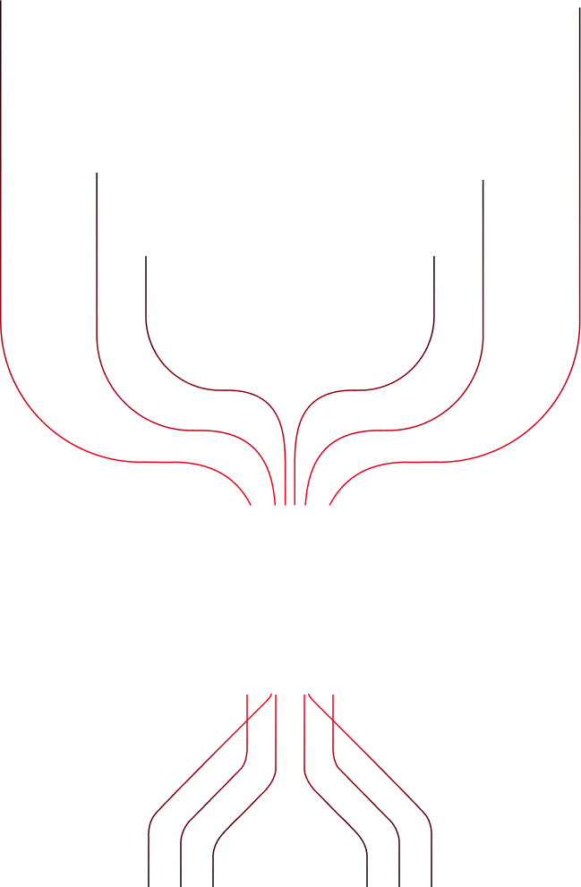 shape